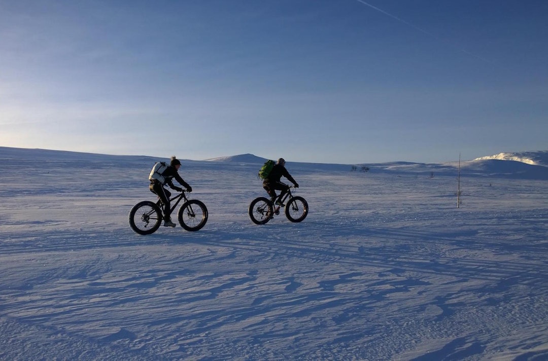 Geilo byr på høyfjellsterreng i rikelig monn, og blir et verdig kvalifiseringsritt for Iditarod Trail Invitational, mener Nina Gässler, som er primus motor for arrangementet. Foto: Nina Gässler Fat Viking 3 - Foto Nina Gässler 1400x924