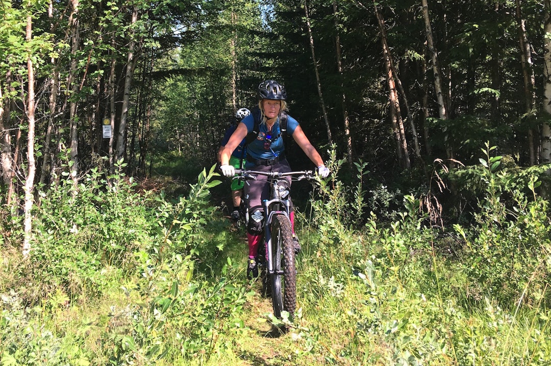 Forskerne er interessert i å finne ut av hva stisyklistene opplever av slitasje. Foto: Ingeborg Scheve Forskerne er interessert i å finne ut av hva stisyklistene opplever av slitasje. Foto: Ingeborg Scheve