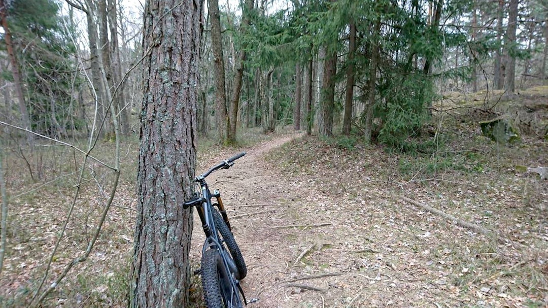 Kjærlighetsstien i Fredrikstadmarka er en av stiene der sykling nå skal forbys, til tross for at stiene er svært bærekraftige. Foto: Tommy Solvang/NOTS Kjærlighetsstien Tommy Solvang NOTS 1400x788