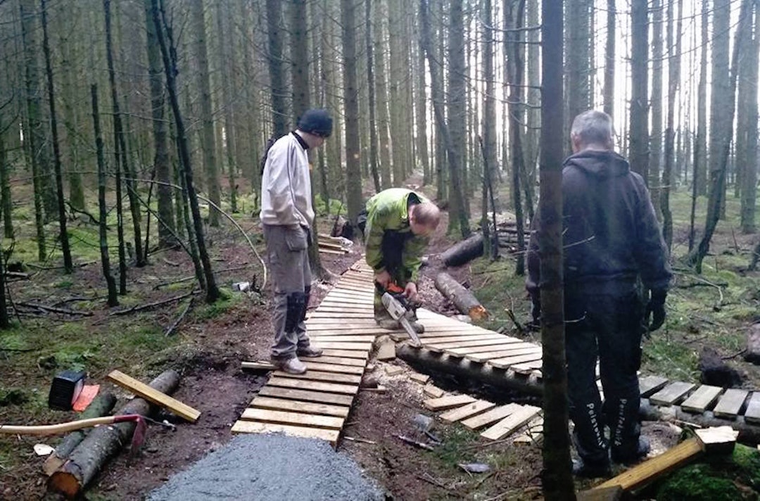 Terrengsavdelingens avtale med Jæren Skoglag gir stisyklistene lov til å bygge løyper og elementer i Njåskogen. Det har dugnadsgjengen jobbet med i hele 2015, og de planlegger å fortsette i samme spor i 2016. Foto: Terrengavdelingen Terrengavdelingen dugnad 1 - Foto Terrengavdelingen 1400x923