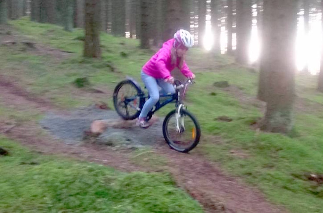 Noen satser mot OL i 2028, og med anlegget i Njåskogen ligger i hvert fall treningsforholdene til rette. Foto: Terrengavdelingen Terrengavdelingens framtid - Bjørn Kjetil Aanensen 1400x924