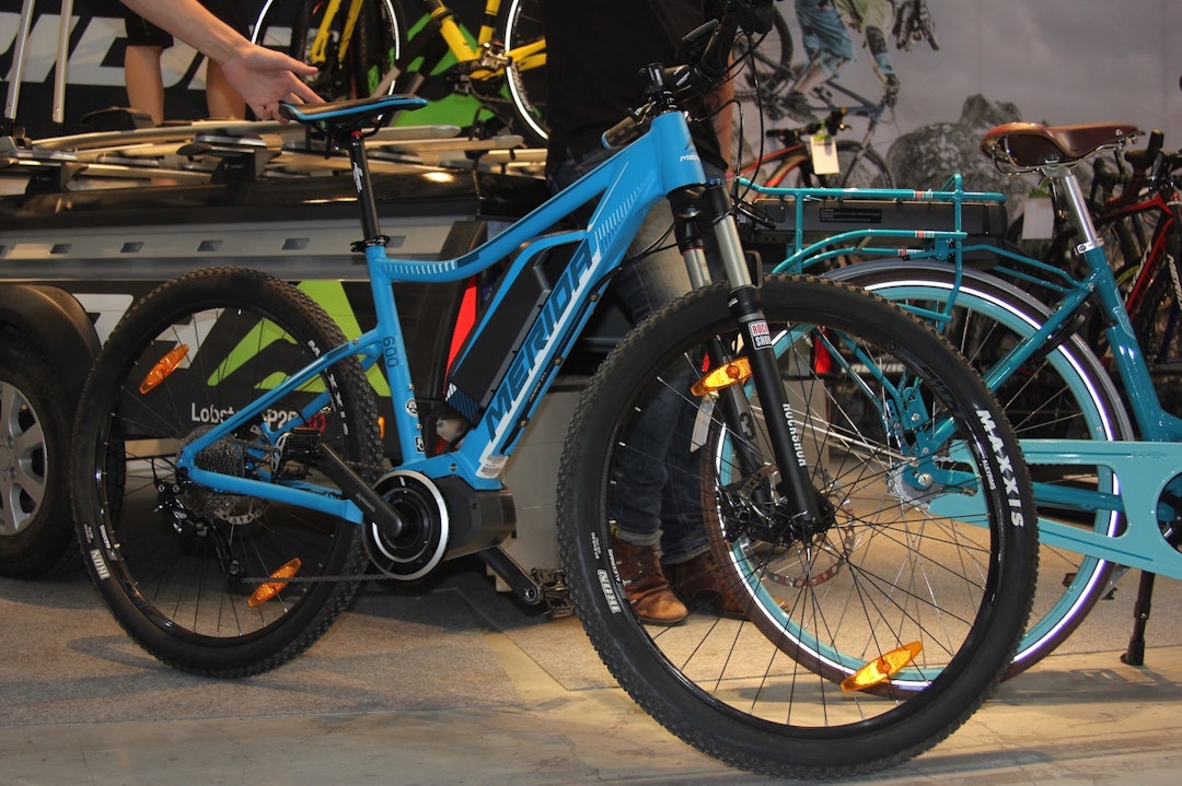 Er det problematisk at disse slippes løs på stiene? Foto: Ingeborg Scheve Er det problematisk at disse slippes løs på stiene? Foto: Ingeborg Scheve