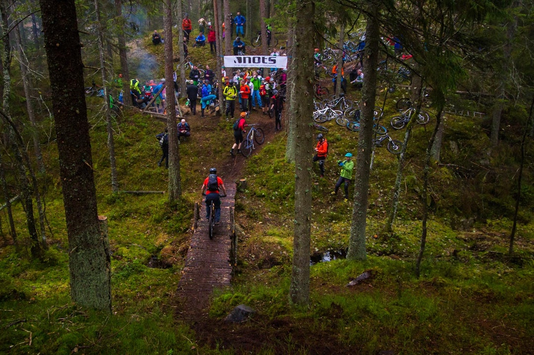 FORENING: NOTS jobber for at vi skal få drive med terrengsykling også i fremtiden. Her fra prøveprosjektet, Pioneren i Østmarka i Oslo. Foto: Snorre Veggan FORENING: NOTS jobber for at vi skal få drive med terrengsykling også i fremtiden. Her fra prøveprosjektet, Pioneren i Østmarka i Oslo. Foto: Snorre Veggan