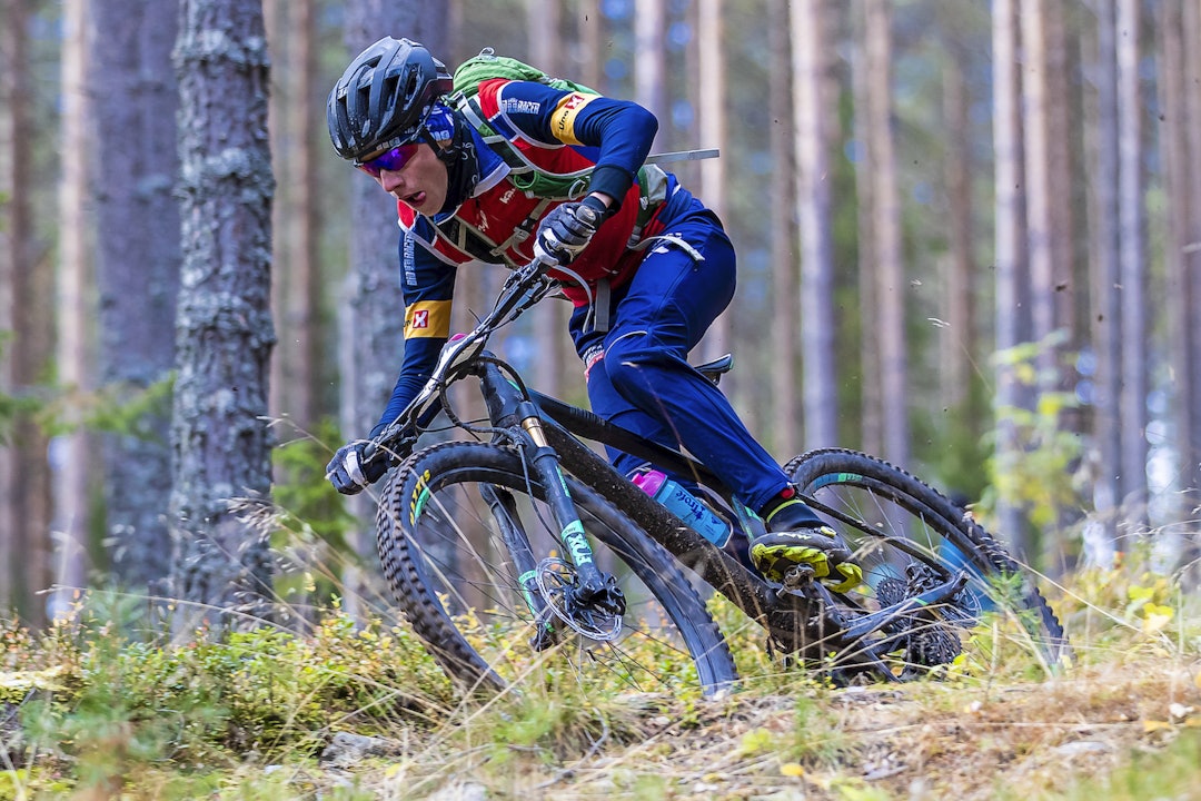 Lynraskt gjennom skogen. Foto: Pål Westgaard Lynraskt gjennom skogen. Foto: Pål Westgaard
