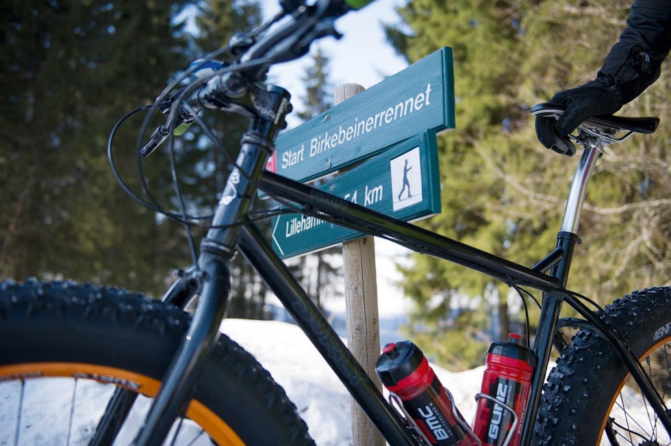 fatbikebirken-7 fatbikebirken-7