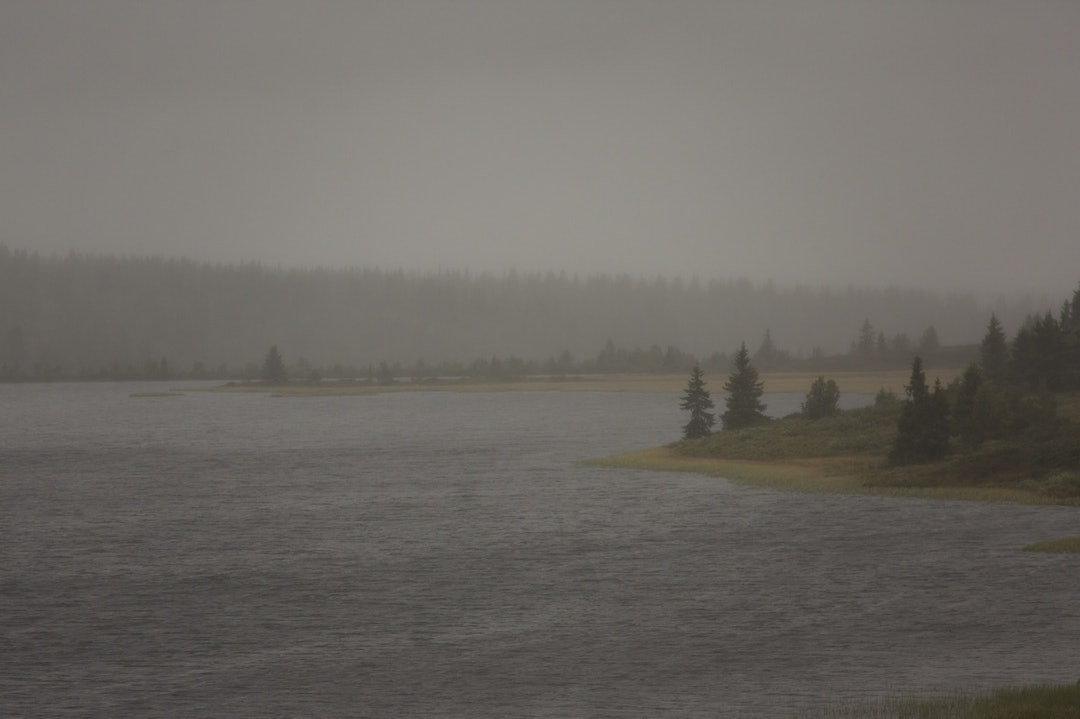 SKUMTOPPER: Neida, men nesten. Foto: Kristoffer H. Kippernes _IPP8797