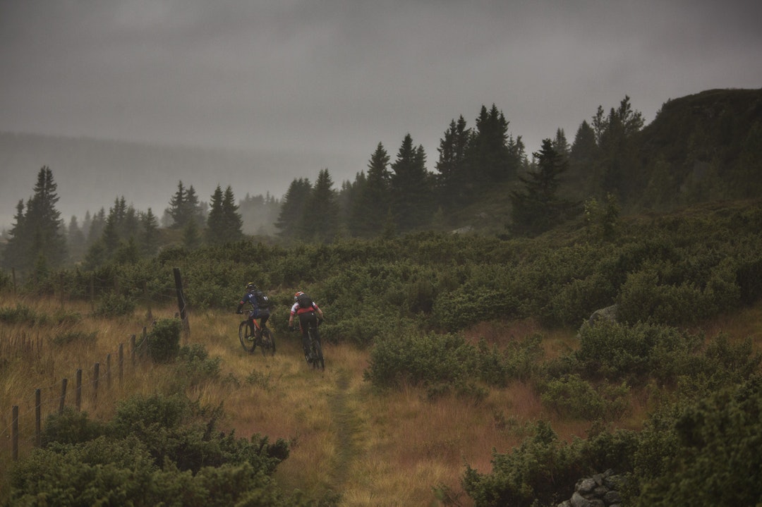 TROLSK: Tåken gjør naturen helt spesiell. (foto: Kristoffer H. Kippernes) _IPP9099