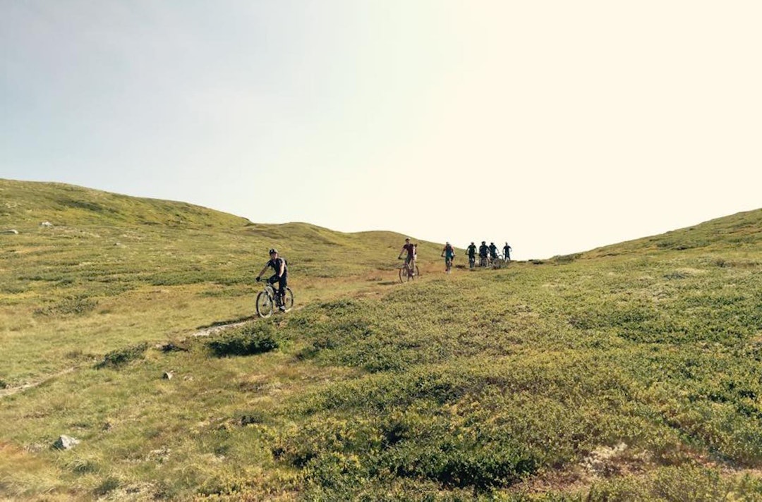 Øyerfjellet byr på unike stisyklingsopplevelser. Foto: Ole Vatne Øyer fjellet - Ole Vatne 1400x924