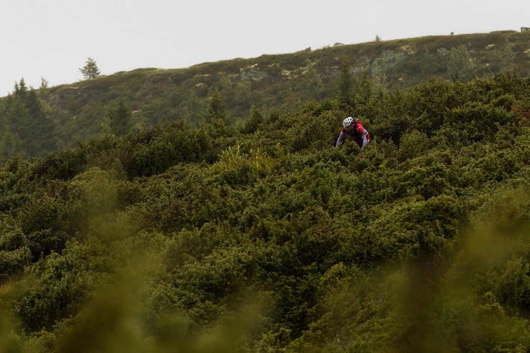 KRATT: Enkelte steder skjulte krattene rytterne nesten helt. (foto: Snorre Veggan) ultrabirken-9843a