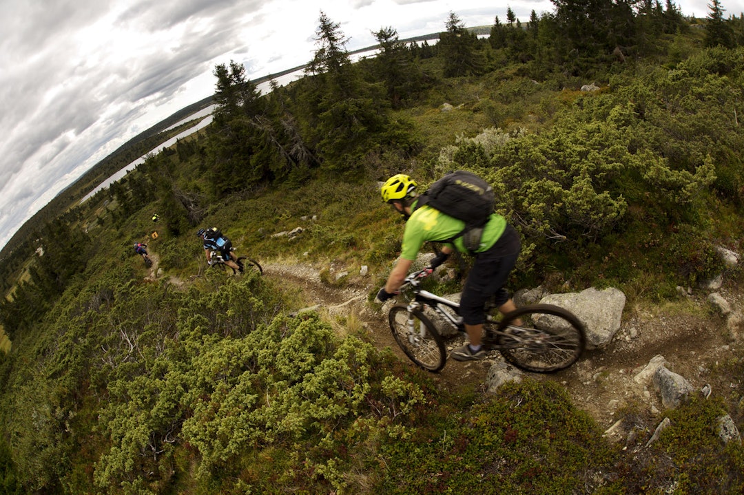 RENNA: Ned fra Reinsfjell var stien både smal og dyp, og full av steiner. (foto: Kristoffer H. Kippernes) 5C2A5050