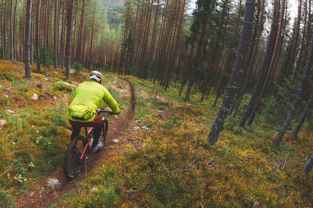 Foto: Kristoffer H. Kippernes Foto: Kristoffer H. Kippernes