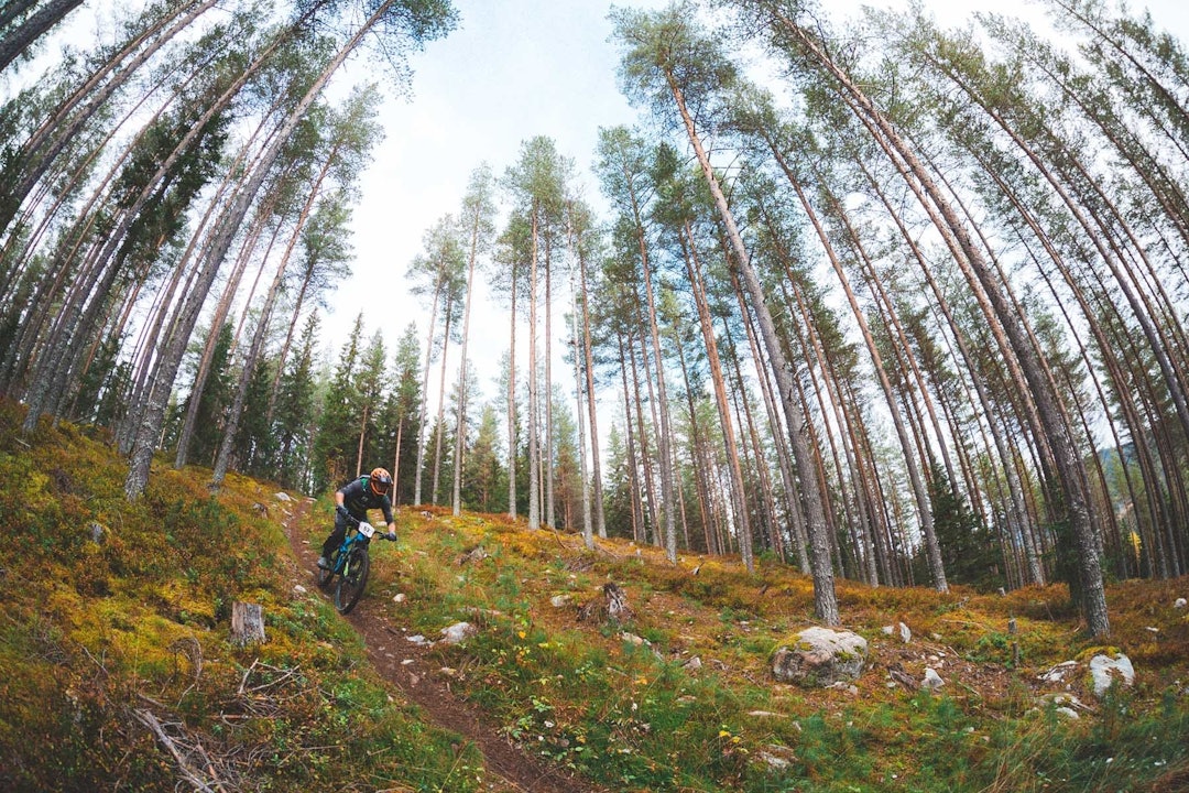 Foto: Kristoffer H. Kippernes Foto: Kristoffer H. Kippernes