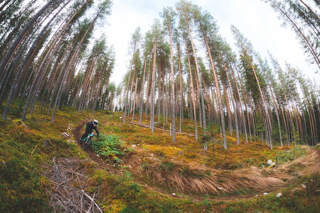 Foto: Kristoffer H. Kippernes Foto: Kristoffer H. Kippernes