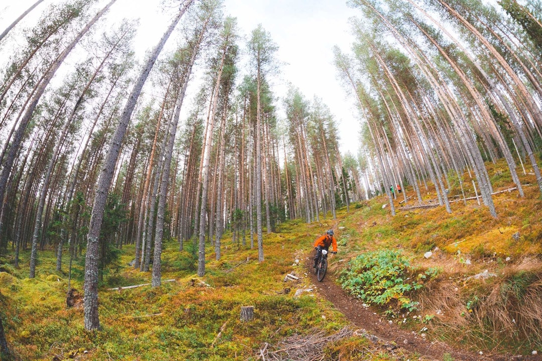 Foto: Kristoffer H. Kippernes Foto: Kristoffer H. Kippernes