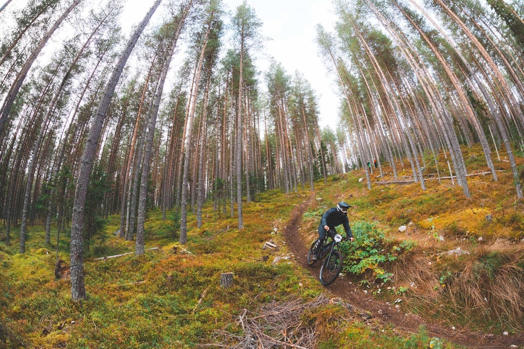 Foto: Kristoffer H. Kippernes Foto: Kristoffer H. Kippernes