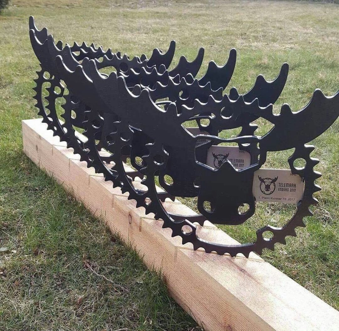 Premiebordet frister med unike troféer. Foto: Telemark Enduro Telemark Enduro awards 1200x1176