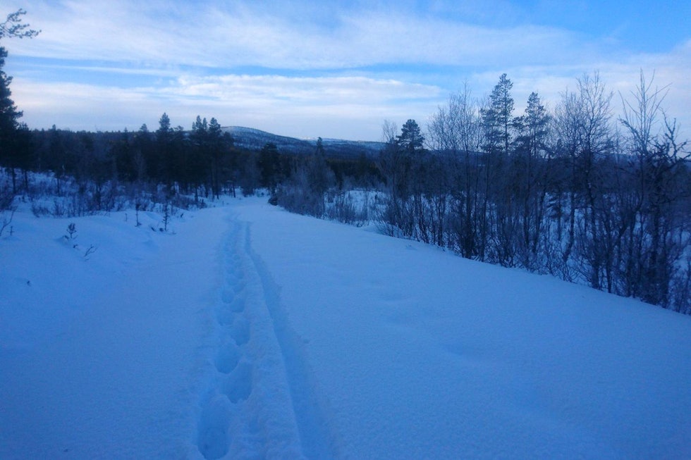 Det var mye og dyp snø for deltakerne i den andre utgaven av Fat Viking på Geilo. Foto: Nina Gässler Fat Viking 2018 trail - Nina Gässler 1400x933