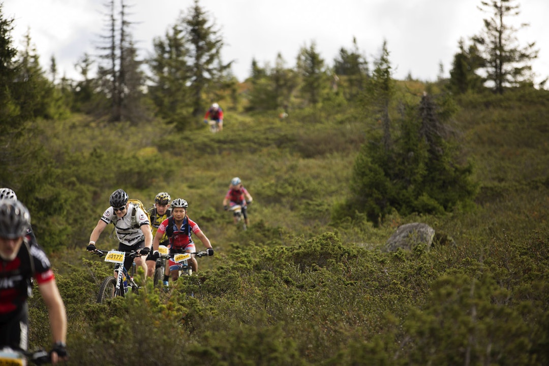 PÅ REKKE OG RAD: Heldigvis var det lite antydninger til kø, selv om det var mange syklister i traséen. (foto: Kristoffer H. Kippernes) _IPP6155