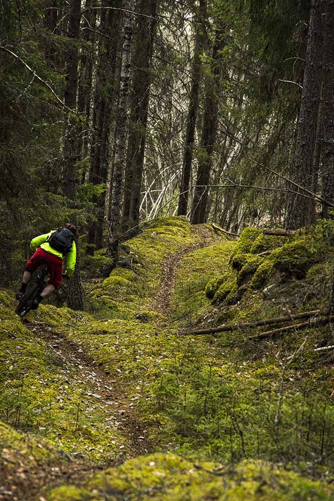 Episke løyper som Påskestien er noe av det som har gjort Nesbyen til et mekka for stisyklister. Foto: Thomas B. Svendsen Nesbyen Trail Camp 2015 Påskestien - Thomas B Svendsen