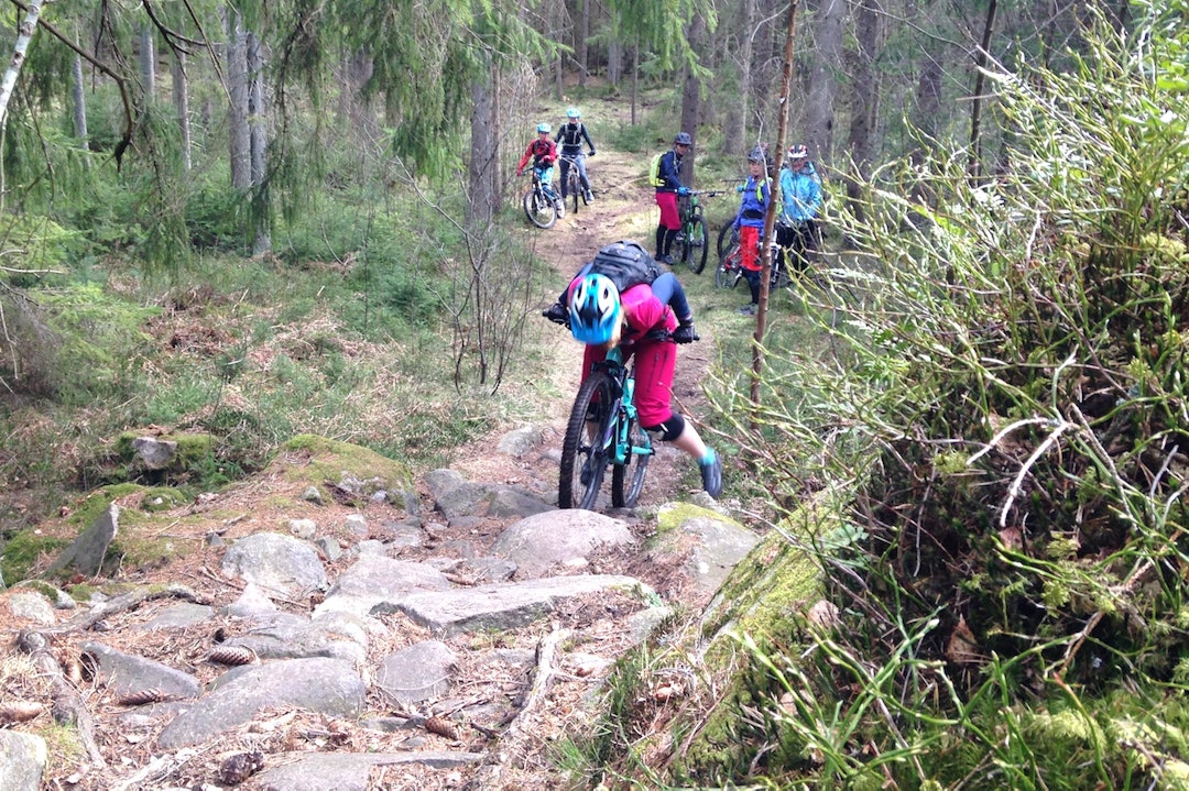 Det er stein og røtter overalt i Trondalen. Da blir det fort bråstopp. Foto: Ingeborg Scheve Henriette rock garden 1400x933