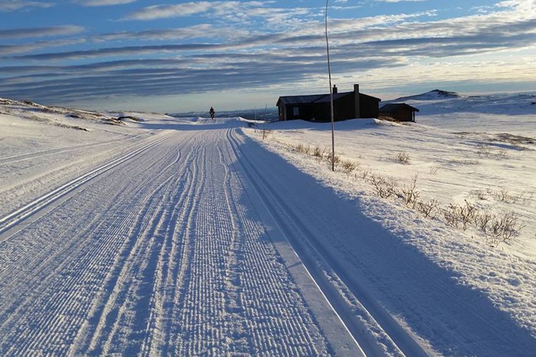 Premiereutgaven av Fat Viking på Geilo ble arrangert i januar med deltakere fra 12 nasjoner til start. Foto: Kathy Merchant Fat Viking Kathi Merchant 1400x933