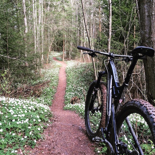 Deler av kulturstien langs Glomma er fin-fin flytsti. Foto: NOTS Kultursti NOTS