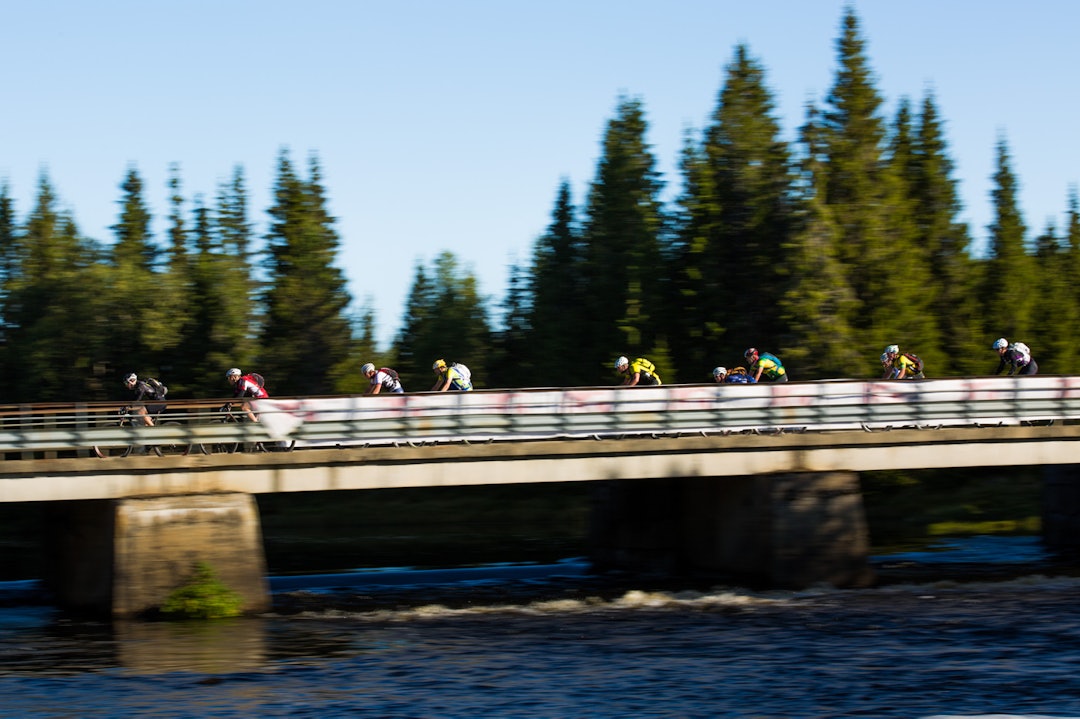 Foto: Snorre Veggan birken2015-0634a
