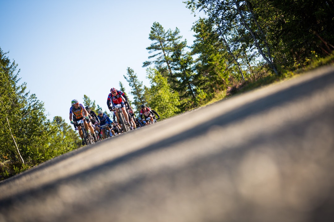 Foto: Snorre Veggan birken2015-0766a