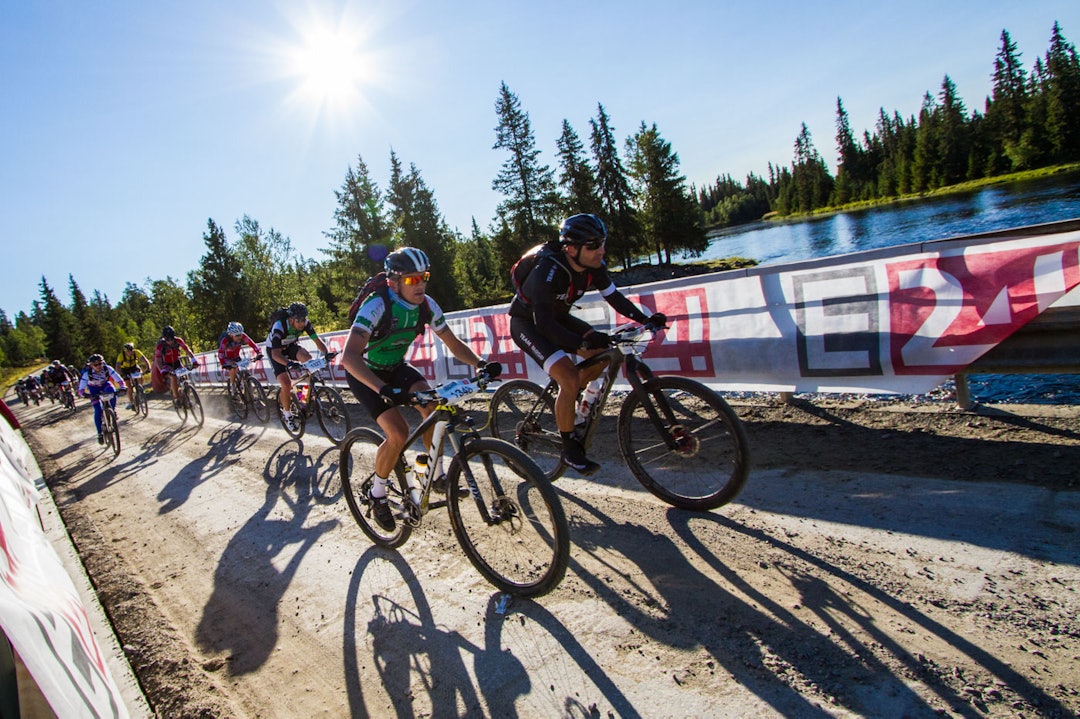 Foto: Snorre Veggan birken2015-9170a