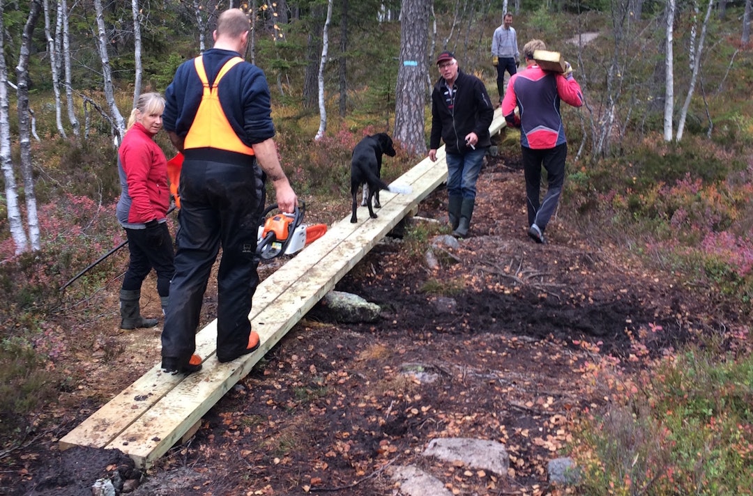Klopping er en viktig del av tilrettelegging og vedlikehold, og en sentral del av NOTS arbeid. Foto: Simen Filseth Klopping NOTS Drammen - Foto Simen Filseth 1400x924
