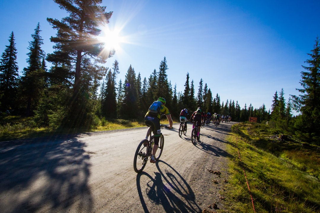 Foto: Snorre Veggan birken2015-9204a