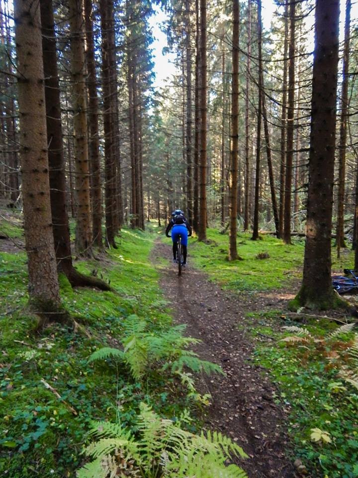 Selv om det stadig blir flere som sykler i skogen, er forbud mot stisykling er en dårlig løsning. Foto: Torstein Heen NOTS Drammen - Foto Privat 720x