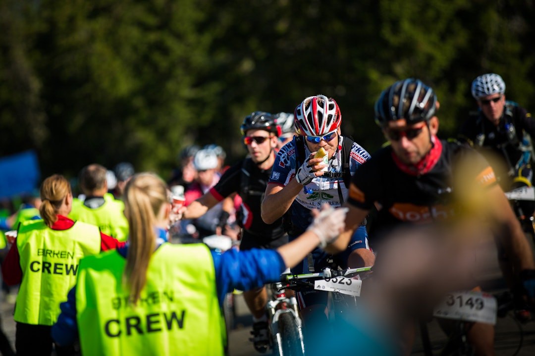 Foto: Snorre Veggan birken2015-0915a