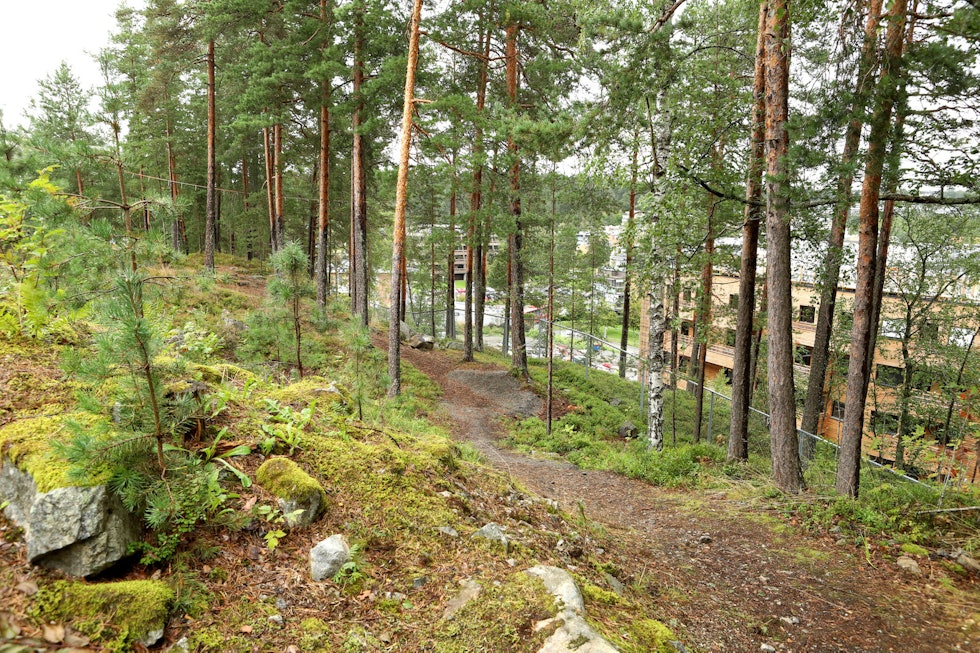 Her anlegges det doseringer i Kolibriløypa ved Ingieråsen ungdomsskole i Oppegård. Foto: Cato Symrebu