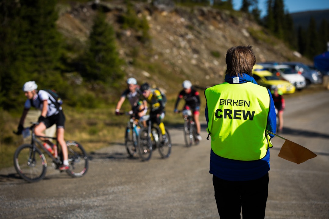 Foto: Snorre Veggan birken2015-0823a