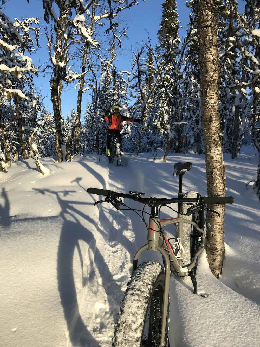 Kortreist hverdagsglede. Foto: Børge Jensen Skaraåsen Gol - Børge Jensen 1000x