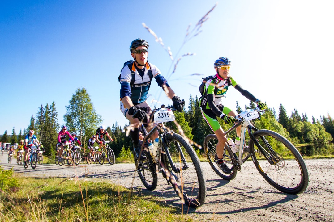 Foto: Snorre Veggan birken2015-9303a