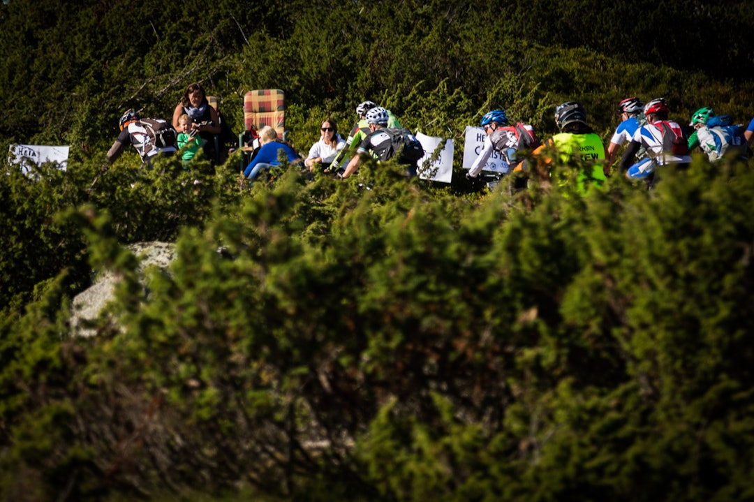 Foto: Snorre Veggan birken2015-1183a