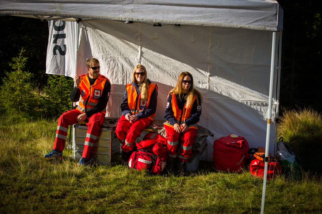 Foto: Snorre Veggan birken2015-0510a