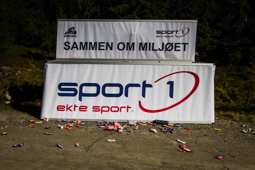Foto: Snorre Veggan birken2015-9392a