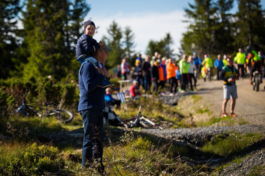 Foto: Snorre Veggan birken2015-1238a