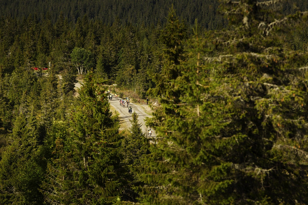 Foto: Kristoffer H. Kippernes _KHK8124