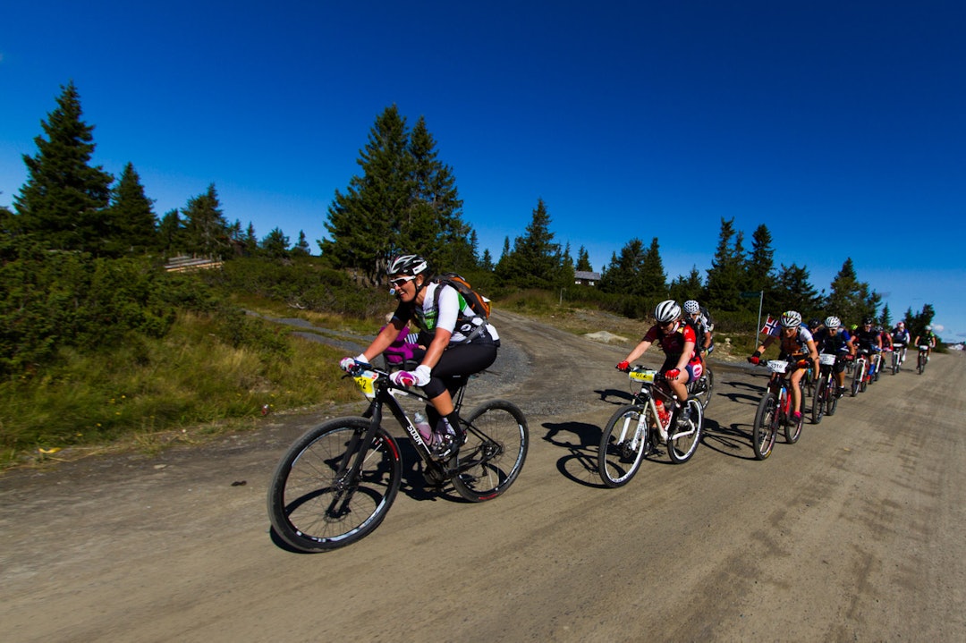 Foto: Snorre Veggan birken2015-9427a