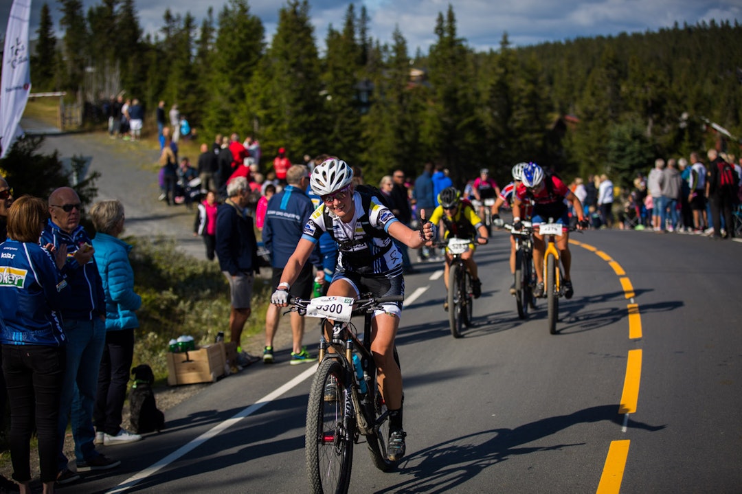Foto: Snorre Veggan birken2015-1419a
