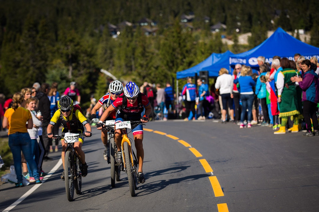 Foto: Snorre Veggan birken2015-1426a