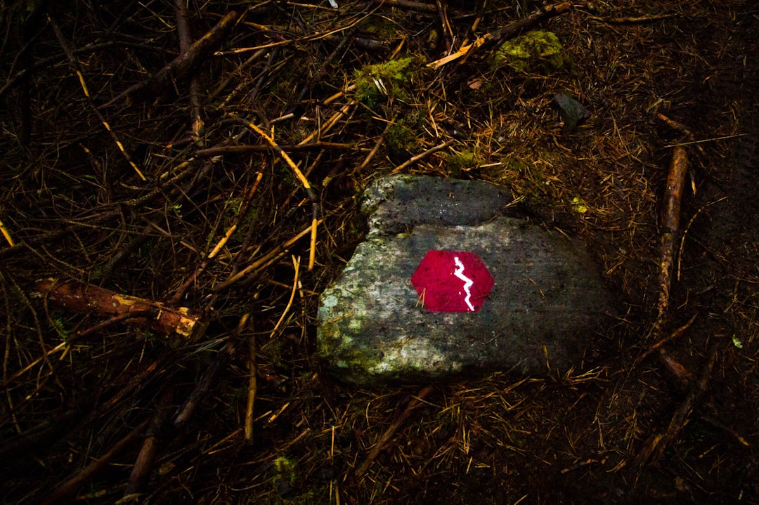 MERKING: Merkingen av løypa er på prøvestadiet og dette er et av merkene som blir prøvd ut. (foto: Snorre Veggan) pioneren-2154a