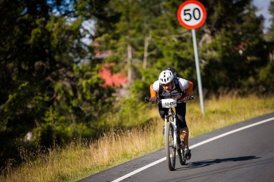 Foto: Snorre Veggan birken2015-1442a