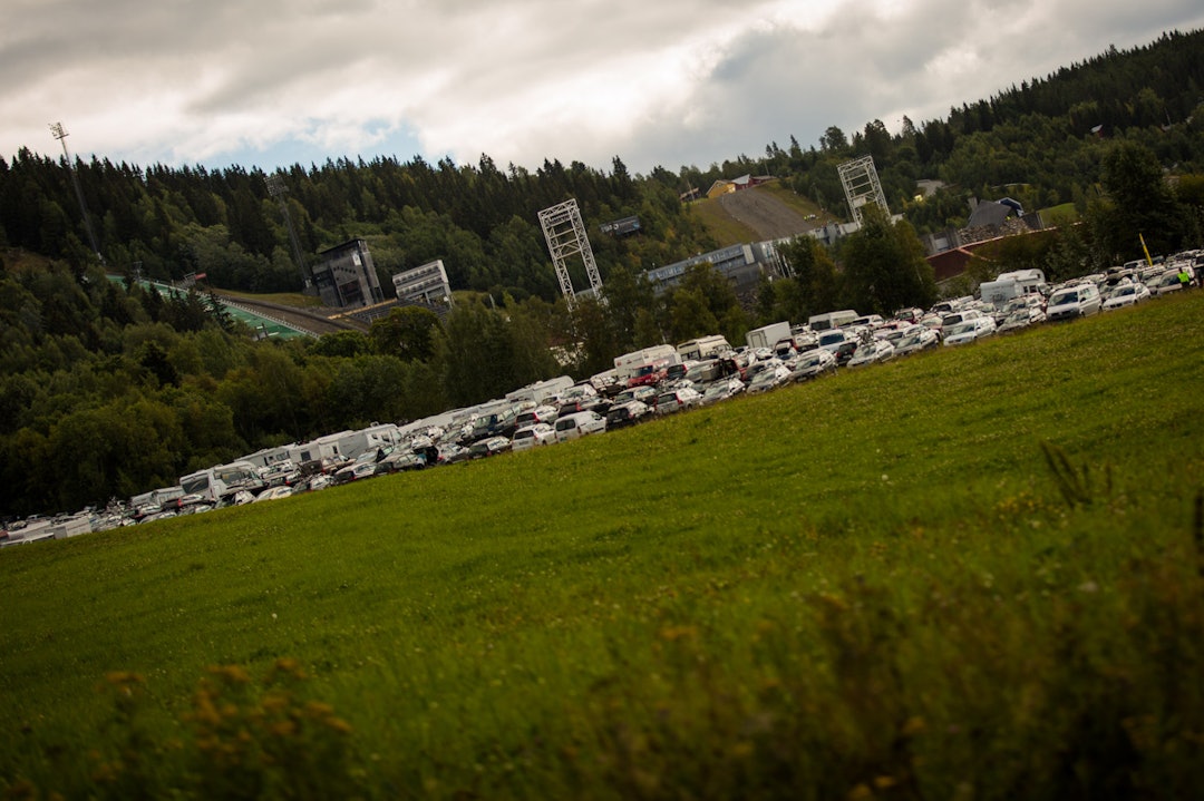 Foto: Snorre Veggan birken2015-1470a