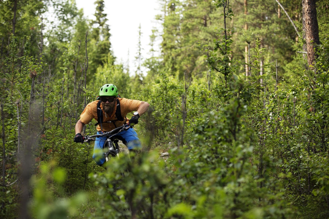Programmereren: Bjørn Jarle Kvande utretter mye godt for terrengsykkel-Norge fra kontoret sitt på Gol. _IPP2151