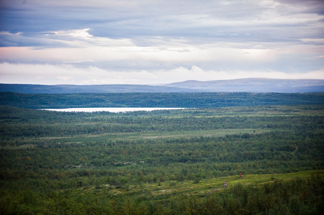 ENDELØST: En enslig rytter tar fatt på et stiparti inn mot Kautokeino. D3S_1961